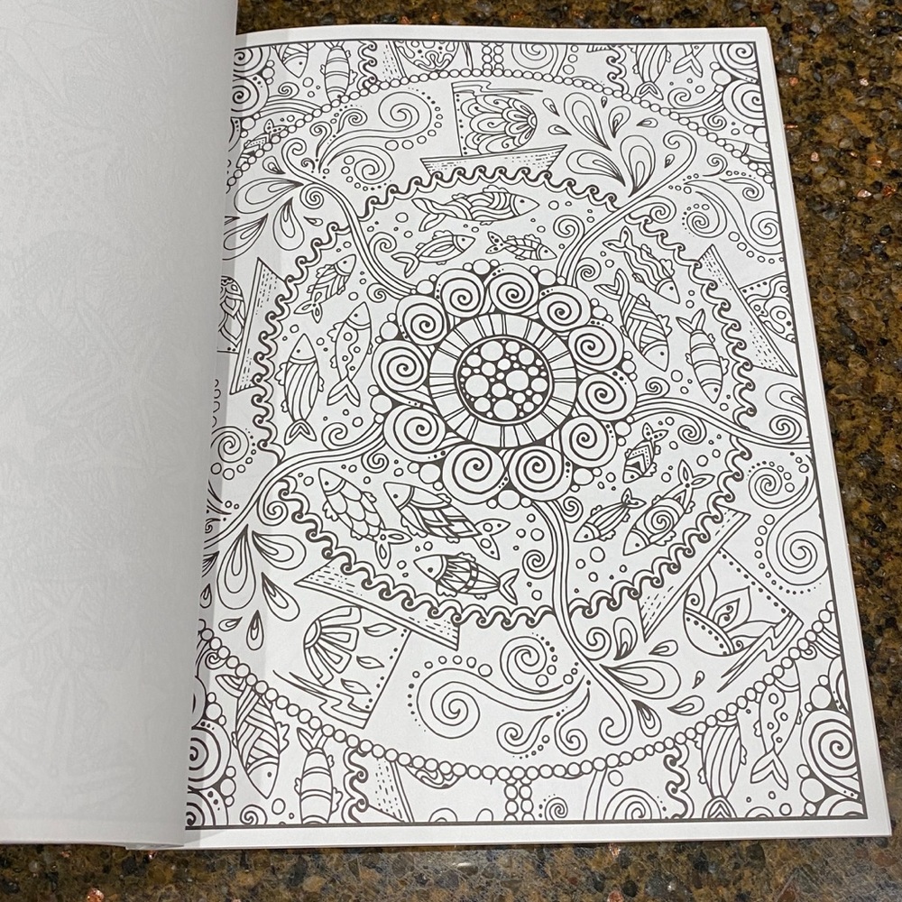 Splash Of Color Adult Coloring Book - Picture 10 of 11